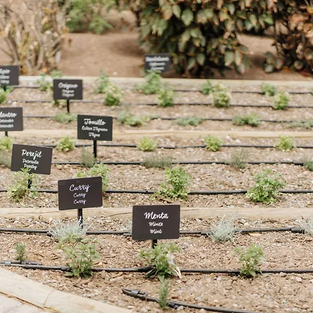 R2 Rio Calma Hotell Costa Calma