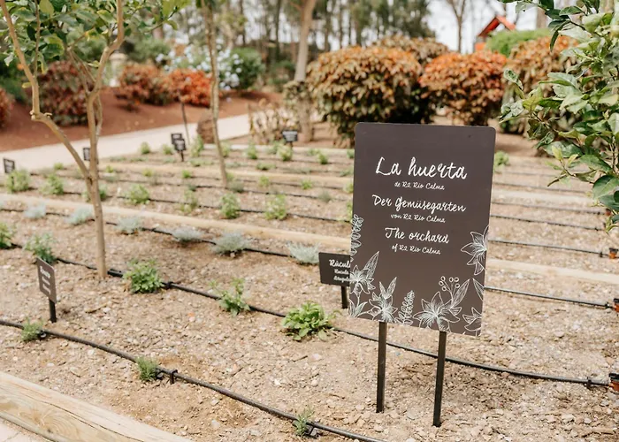 R2里卡尔马酒店 酒店 科斯塔卡玛