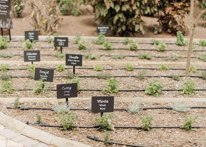 R2 Rio Calma מלון קוסטה קלמה